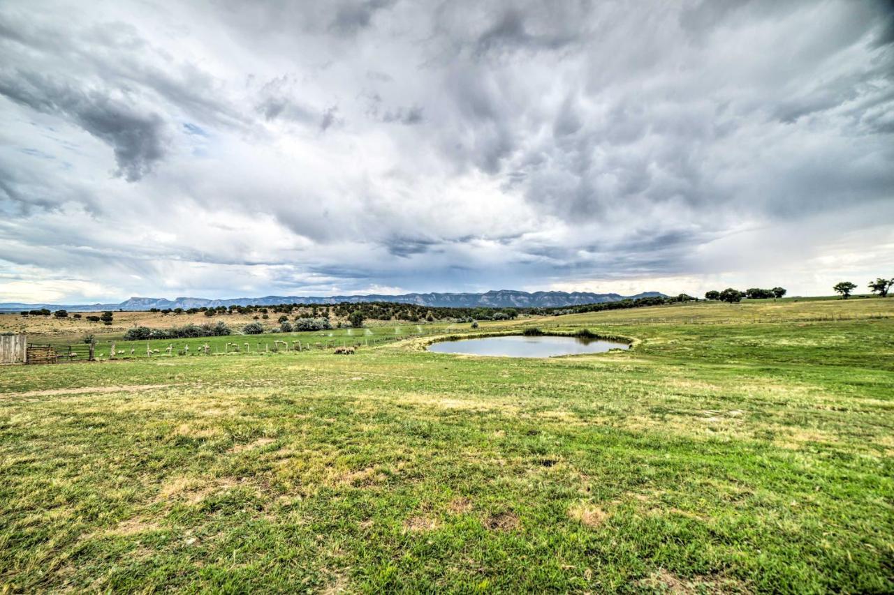 Walkout Apartment With Mtn View On Cortez Ranch Exterior foto